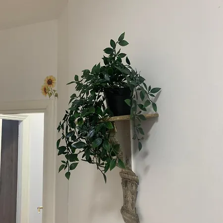 Apartment Casa Girasole *